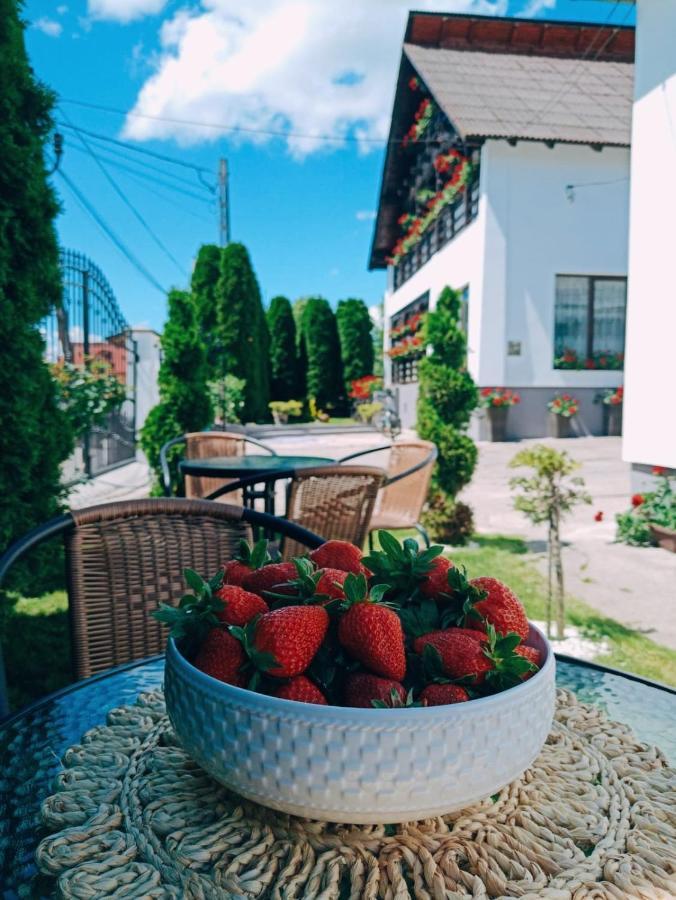 Pensiunea Casa Andreea - Bârsana Maramureș Bîrsana Extérieur photo