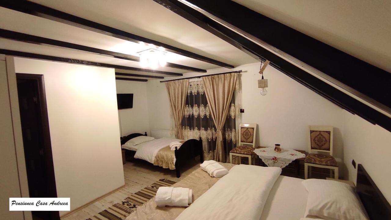 Pensiunea Casa Andreea - Bârsana Maramureș Bîrsana Extérieur photo