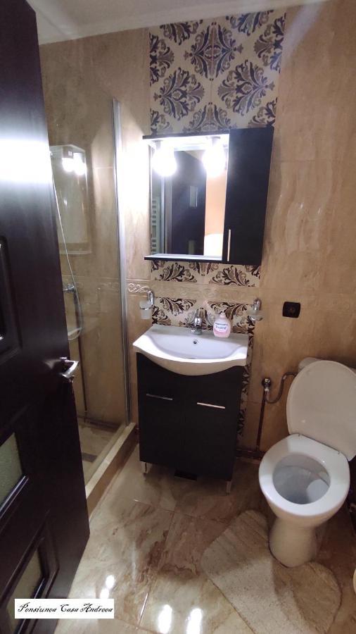 Pensiunea Casa Andreea - Bârsana Maramureș Bîrsana Extérieur photo