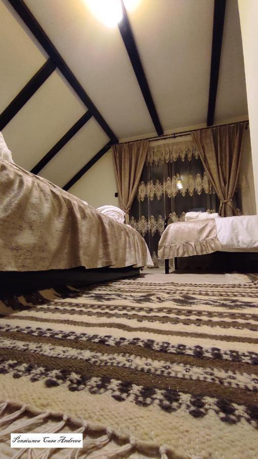 Pensiunea Casa Andreea - Bârsana Maramureș Bîrsana Extérieur photo