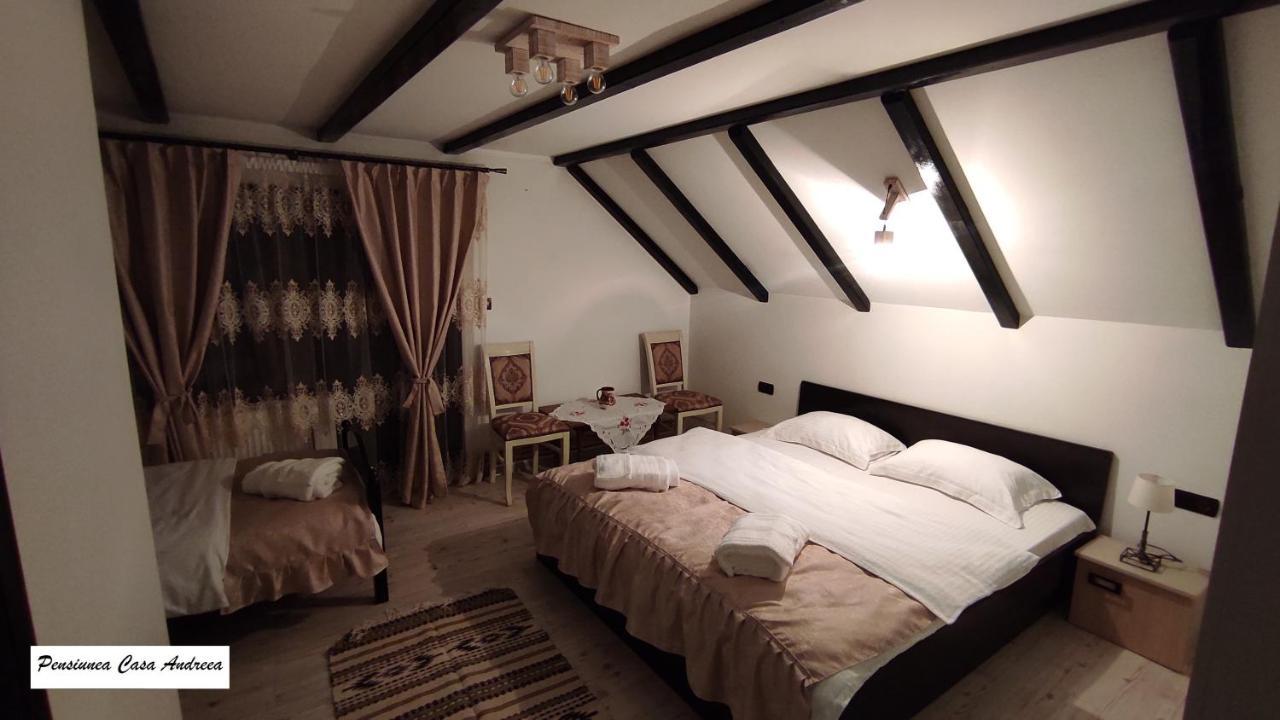 Pensiunea Casa Andreea - Bârsana Maramureș Bîrsana Extérieur photo