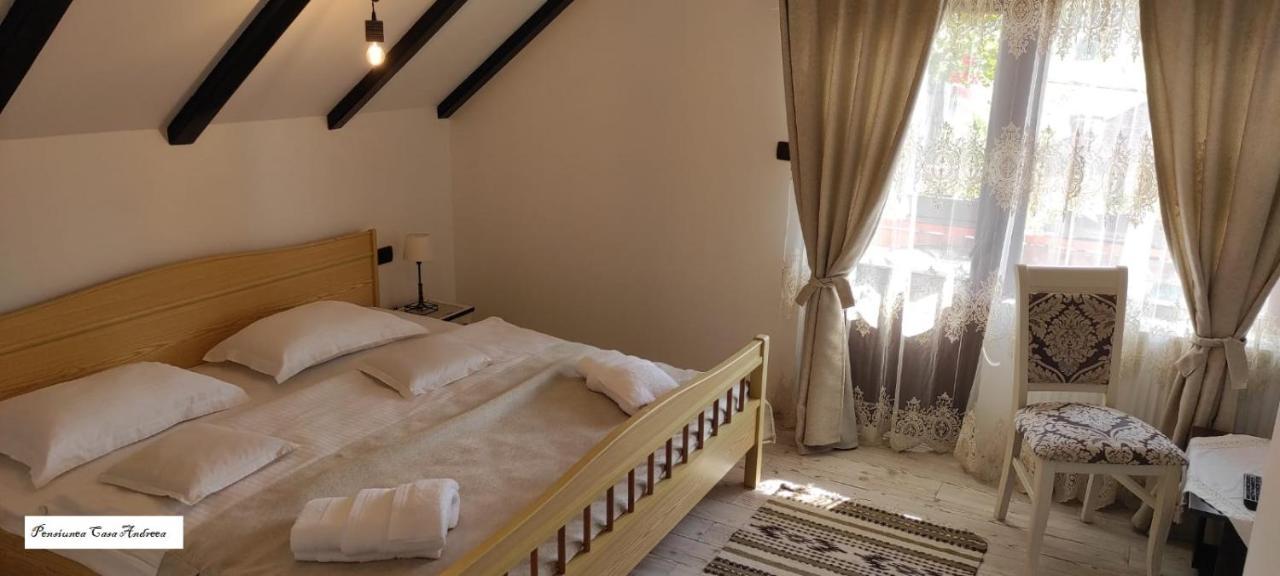 Pensiunea Casa Andreea - Bârsana Maramureș Bîrsana Extérieur photo