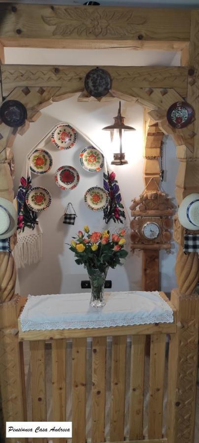 Pensiunea Casa Andreea - Bârsana Maramureș Bîrsana Extérieur photo