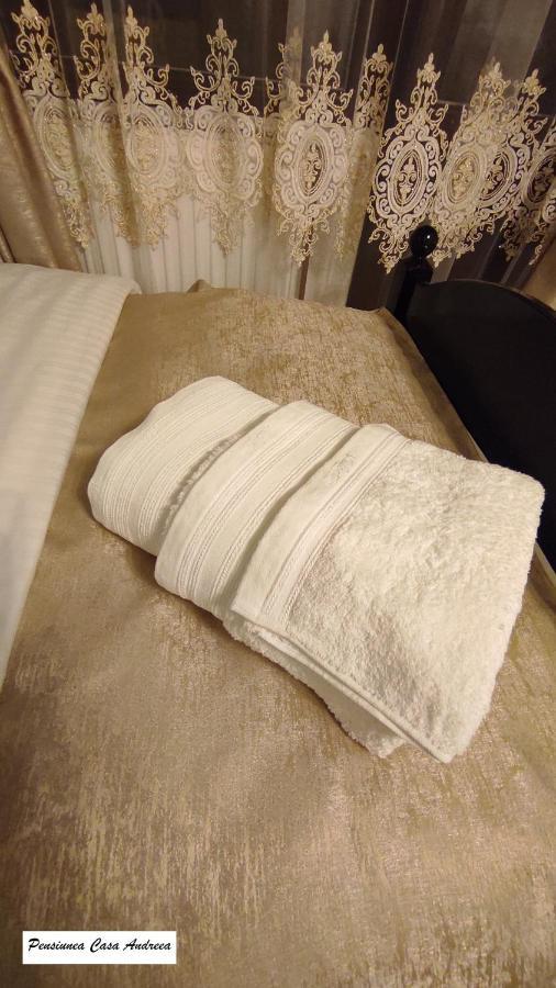 Pensiunea Casa Andreea - Bârsana Maramureș Bîrsana Extérieur photo