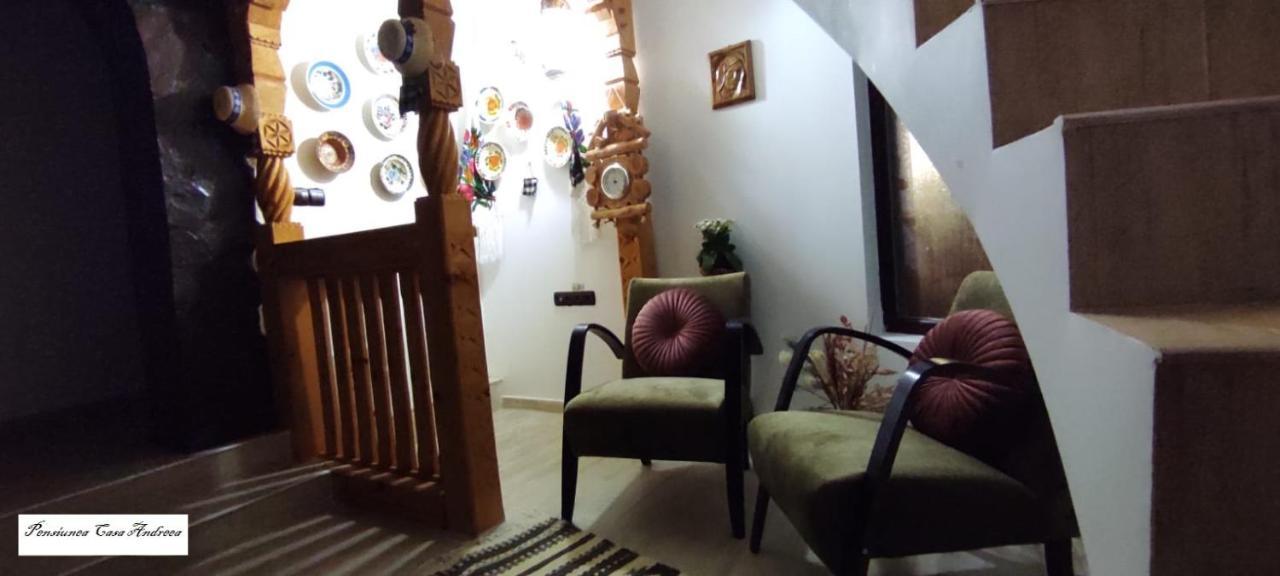 Pensiunea Casa Andreea - Bârsana Maramureș Bîrsana Extérieur photo